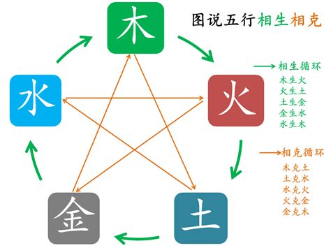 木生什么|五行相克中木克什么 五行相生中木生什么